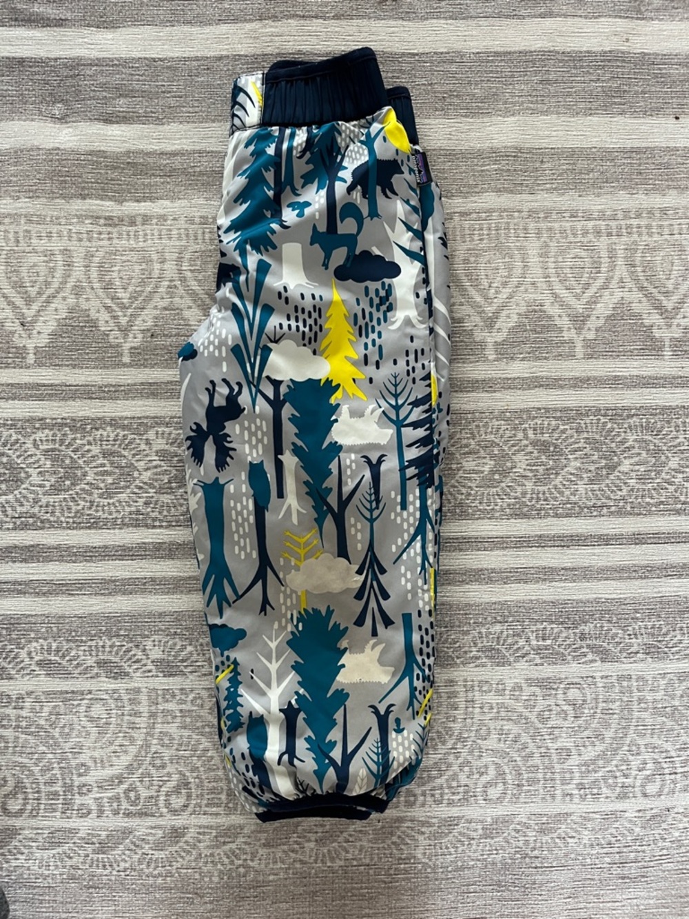 Patagonia winter reversible pants.